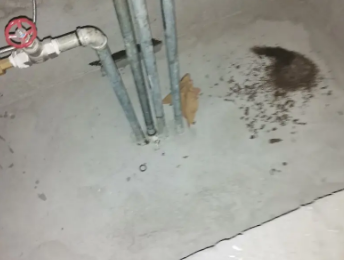 定州卫生间测漏水价格明细